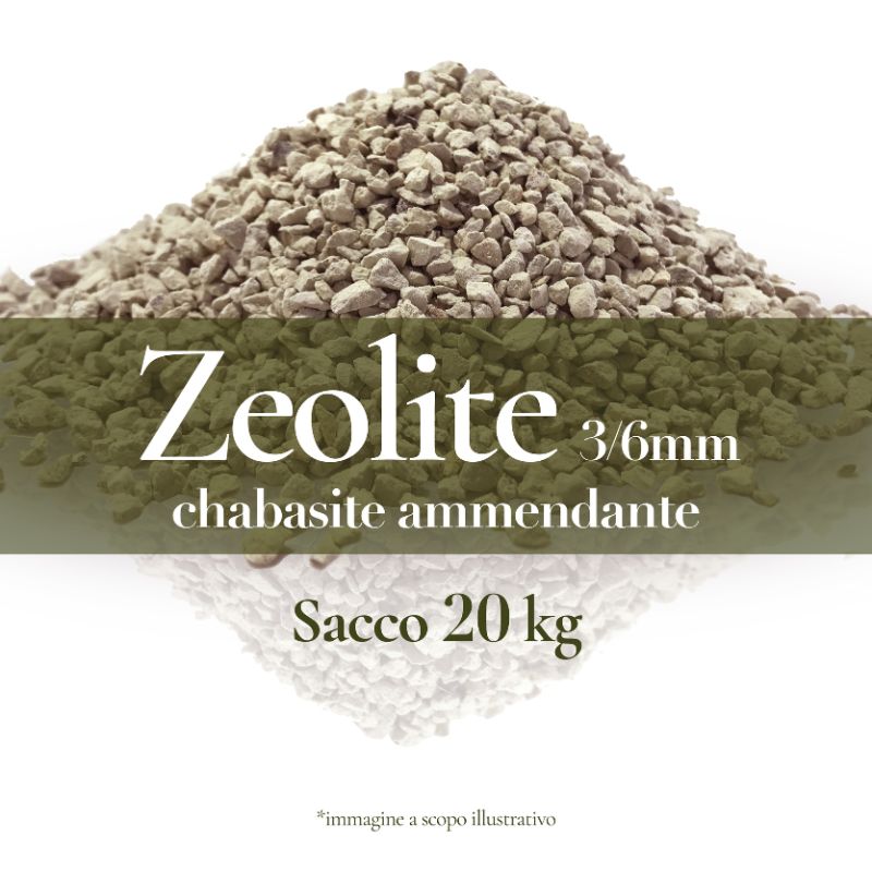 zeolite ammendante