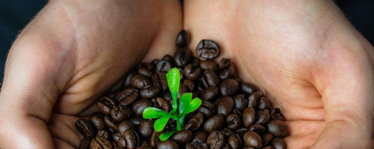 Conci Caffè: ammendante