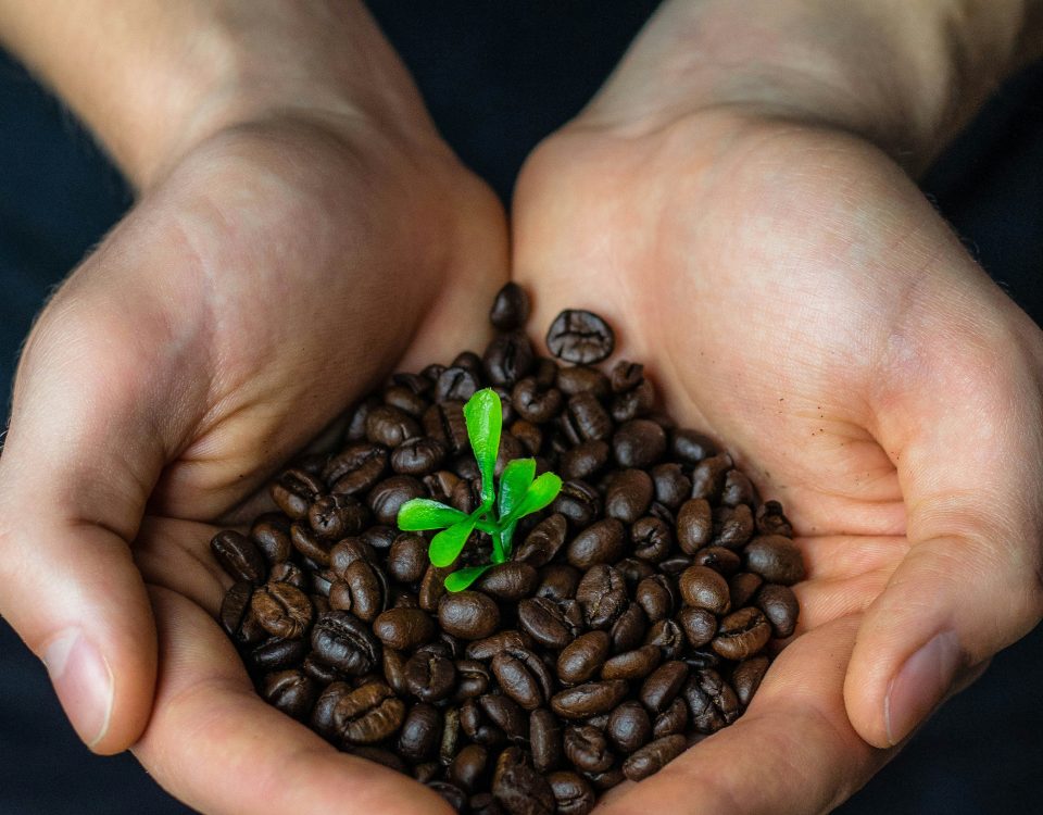 Conci Caffè: ammendante