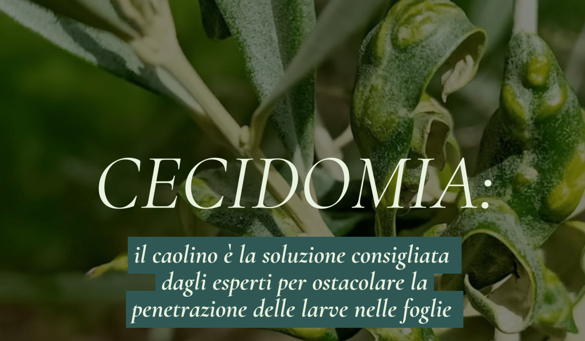 11 giugno - V3 (1)